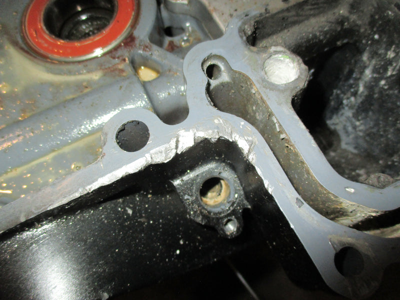 Suzuki DF115 115hp outboard 25 inch midsection