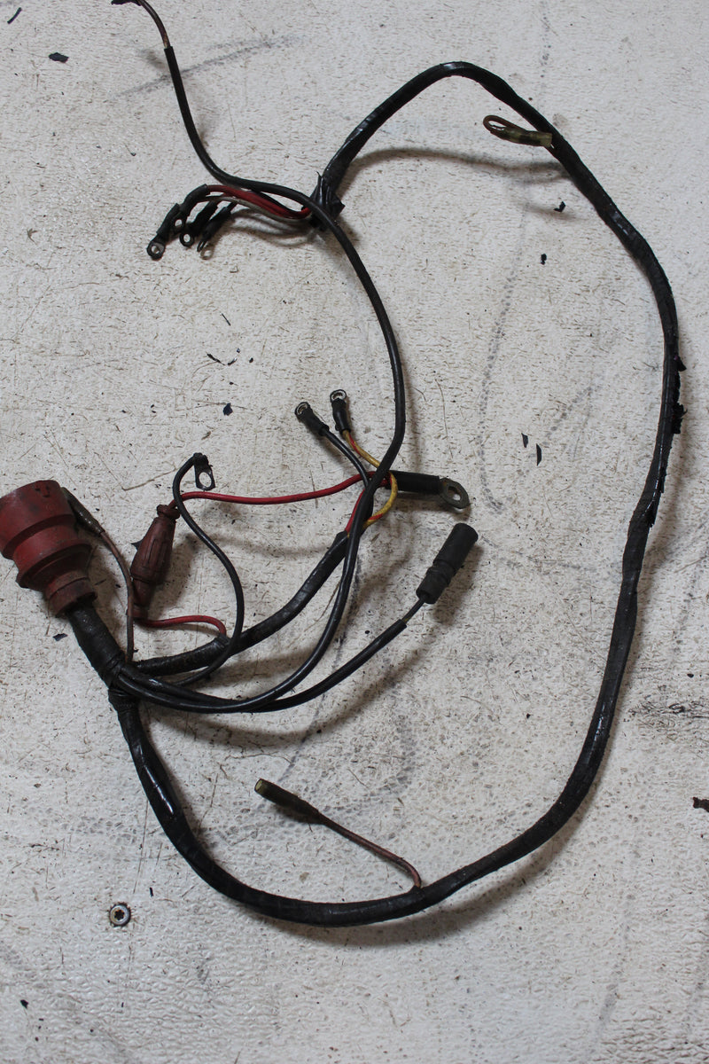 Evinrude 88hp 2 Stroke Outboard Engine Wiring Harness (584004)