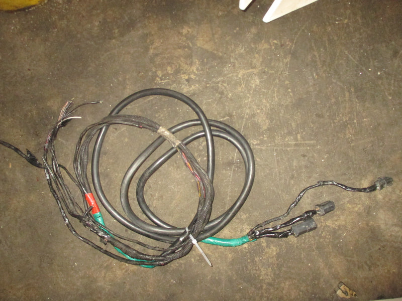 Evinrude Ficht 115hp 2 stroke outboard 10' BRP Rigging Harness