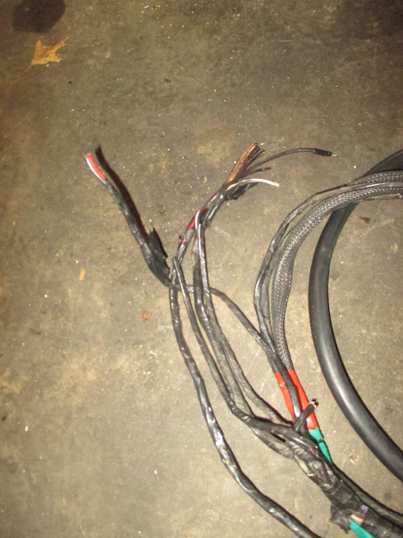 Evinrude Ficht 115hp 2 stroke outboard 10' BRP Rigging Harness