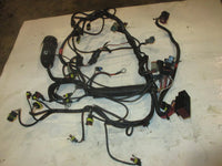 Load image into Gallery viewer, Evinrude Etec 115hp 2 Stroke Outboard Engine Wiring Harness (587004)

