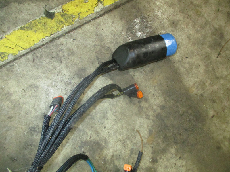 Evinrude 225hp Ficht outboard engine wiring harness (586727-D)
