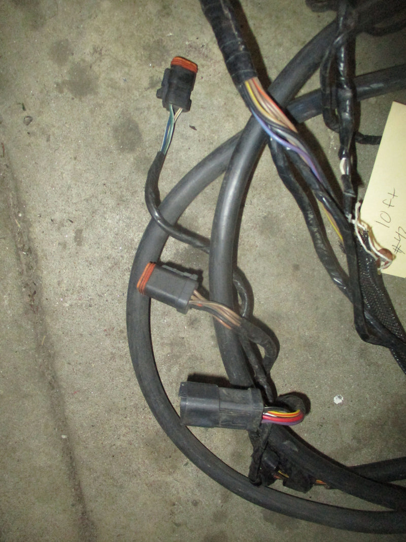Johnson outboard 10ft BRP style harness
