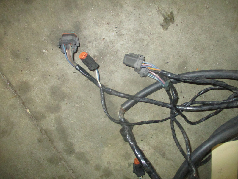Johnson outboard 10ft BRP style harness