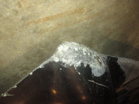 Load image into Gallery viewer, Suzuki DF250 250hp 4 stroke outboard 30 inch shaft lower unit
