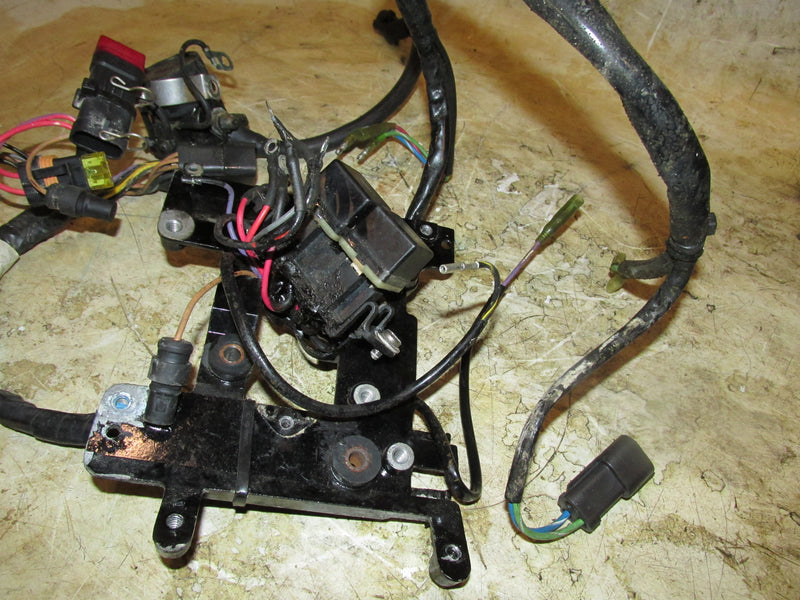 Evinrude 50hp 2 Stroke Outboard Engine Wiring Harness w/ Trim Relays (586020)