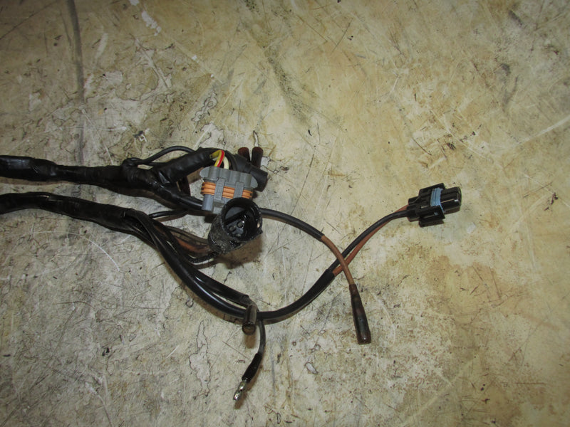 Evinrude 175hp 60 Degree 2 Stroke Outboard Engine Wiring Harness (585240)