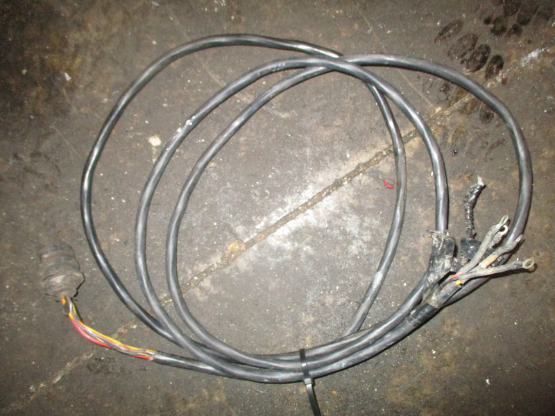 Johnson Evinrude 25hp outboard black plug style 10' rigging harness