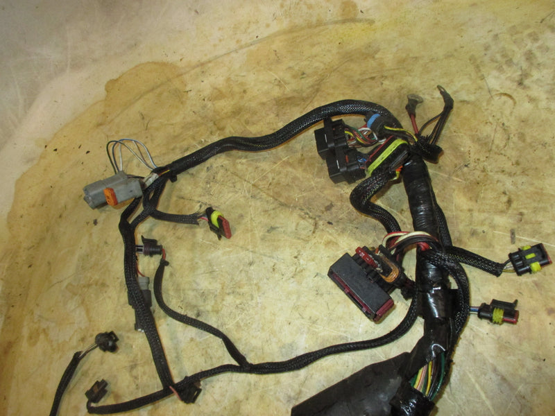 Evinrude Etec 50hp outboard engine wiring harness (586863)