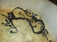 Load image into Gallery viewer, Evinrude E-TEC 250hp 2 stroke outboard Engine Wiring Harness (586769-L)
