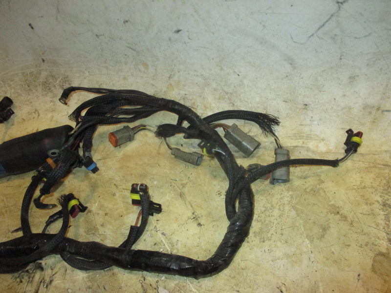 Evinrude E-TEC 250hp 2 stroke outboard Engine Wiring Harness (586769-L)