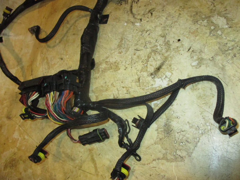 Evinrude E-TEC 250hp 2 stroke outboard Engine Wiring Harness (586769-L)