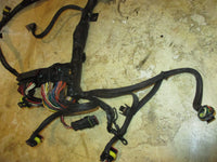 Load image into Gallery viewer, Evinrude E-TEC 250hp 2 stroke outboard Engine Wiring Harness (586769-L)
