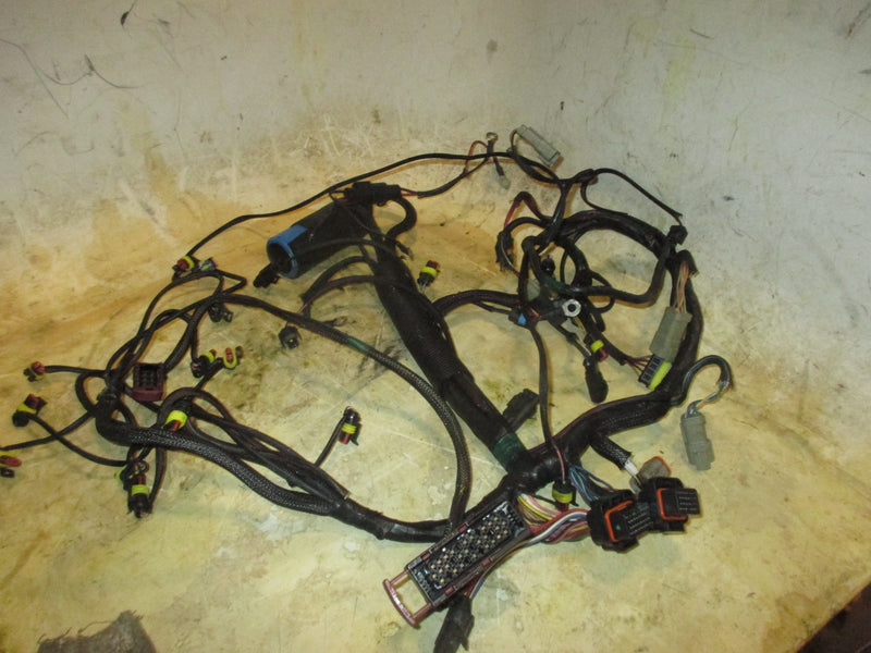 Evinrude Etec 175hp 2 Stroke outboard Engine Wiring Harness (587003)