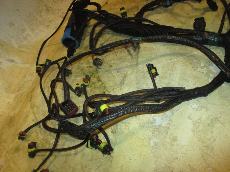 Evinrude Etec 175hp 2 Stroke outboard Engine Wiring Harness (587003)
