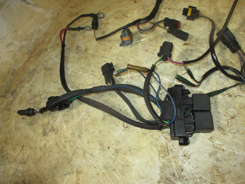 Johnson 150hp 2 stroke outboard engine wiring harness (586028)