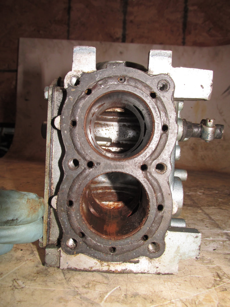 Evinrude 4.5hp 2 Stroke Outboard Crankcase Block (389522)