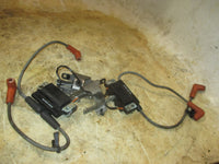 Load image into Gallery viewer, Evinrude 115hp 2 stroke outboard dual ignition coil set (586754)
