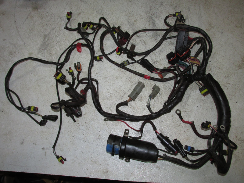 Evinrude Etec 130hp 2 Stroke Outboard Engine Wiring Harness (587004)