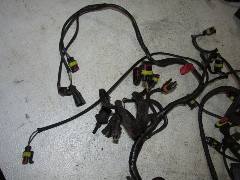 Evinrude Etec 130hp 2 Stroke Outboard Engine Wiring Harness (587004)