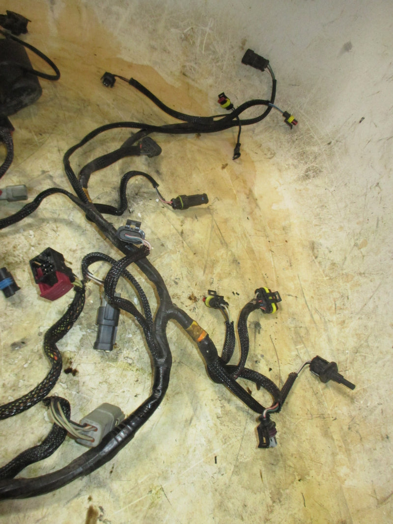 Evinrude E-Tech 115hp 2 stroke outboard Engine Wiring Harness (586891)