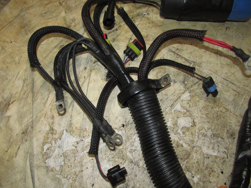 Evinrude Etec 115hp 2 Stroke Outboard Engine Wiring Harness (586801)