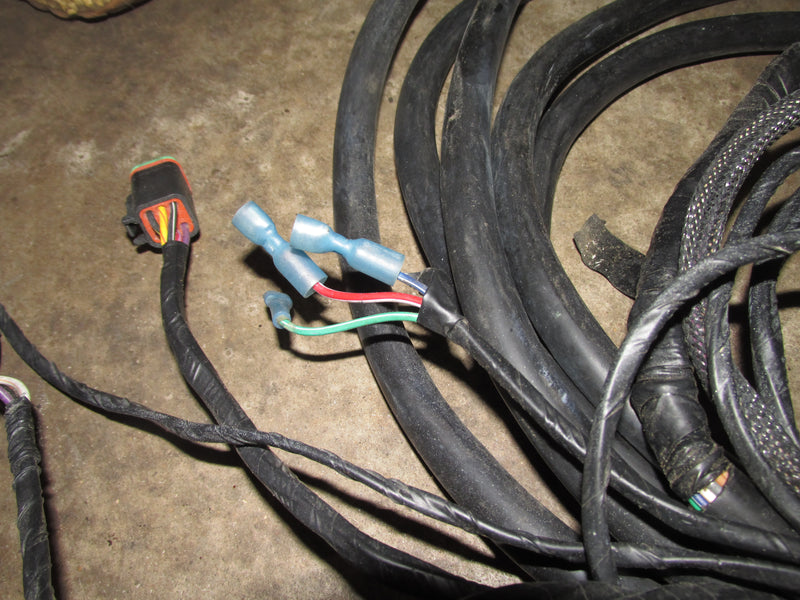 Johnson/Evinrude Outboard 15FT BRP rigging harness