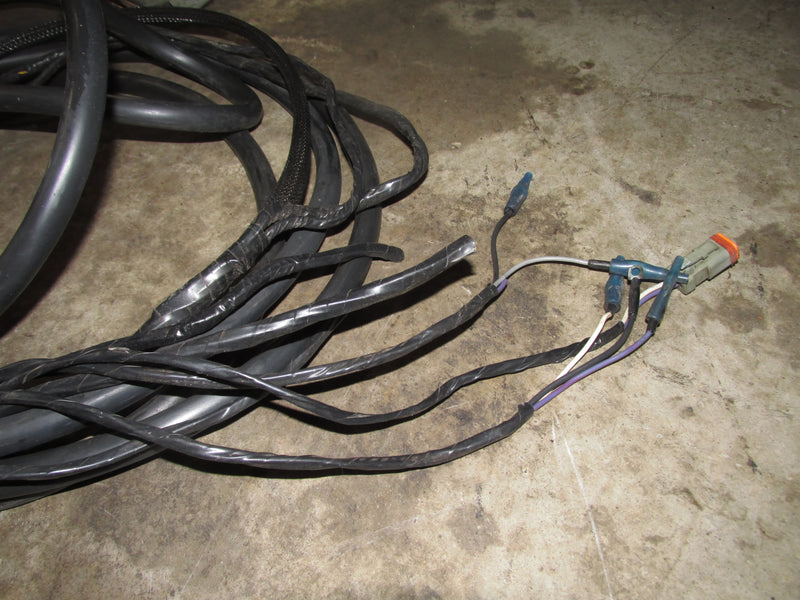 Johnson/Evinrude Outboard 15FT BRP rigging harness