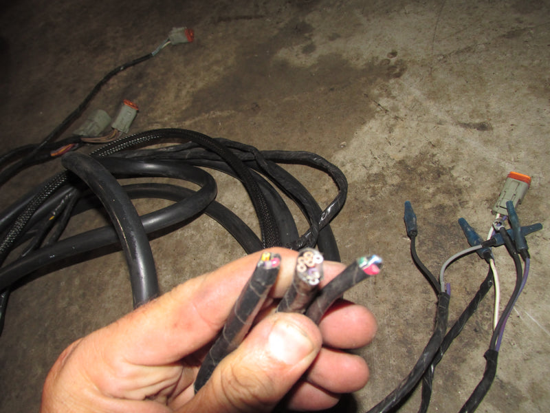 Johnson/Evinrude Outboard 15FT BRP rigging harness