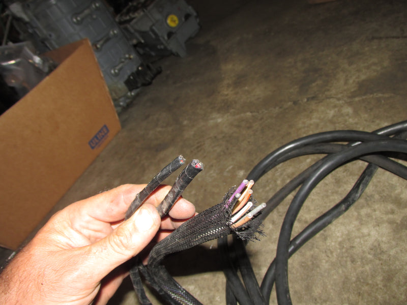 Johnson/Evinrude Outboard 15FT BRP rigging harness