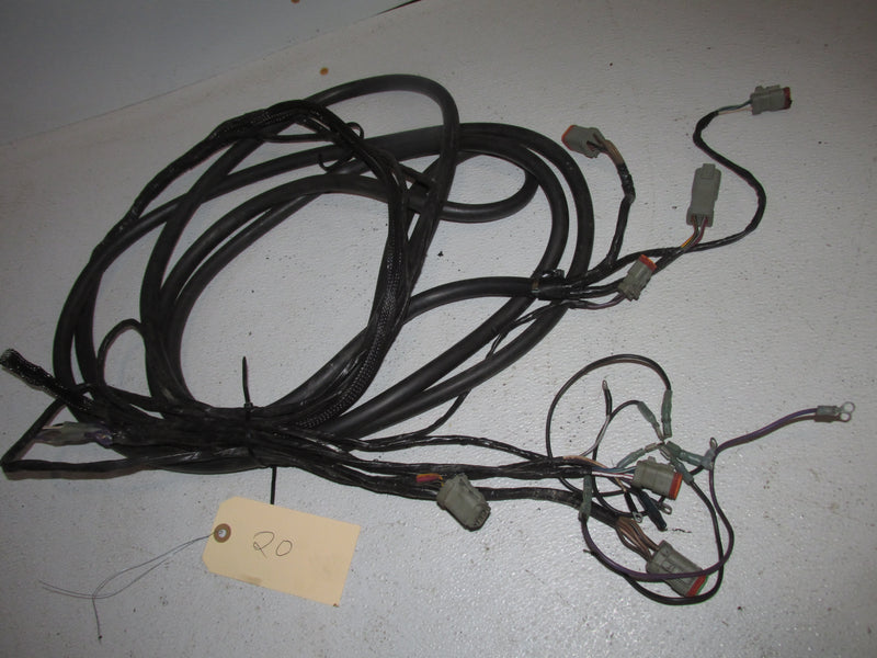Johnson/Evinrude Outboard 15FT BRP Rigging harness