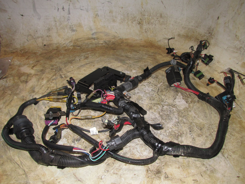 Mercury 40hp EFI 4 Stroke Outboard Engine Wiring Harness (84-893665)