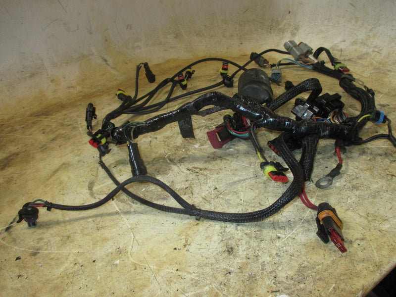 Evinrude 50hp ETEC 2 Stroke outboard engine wiring harness (586972)