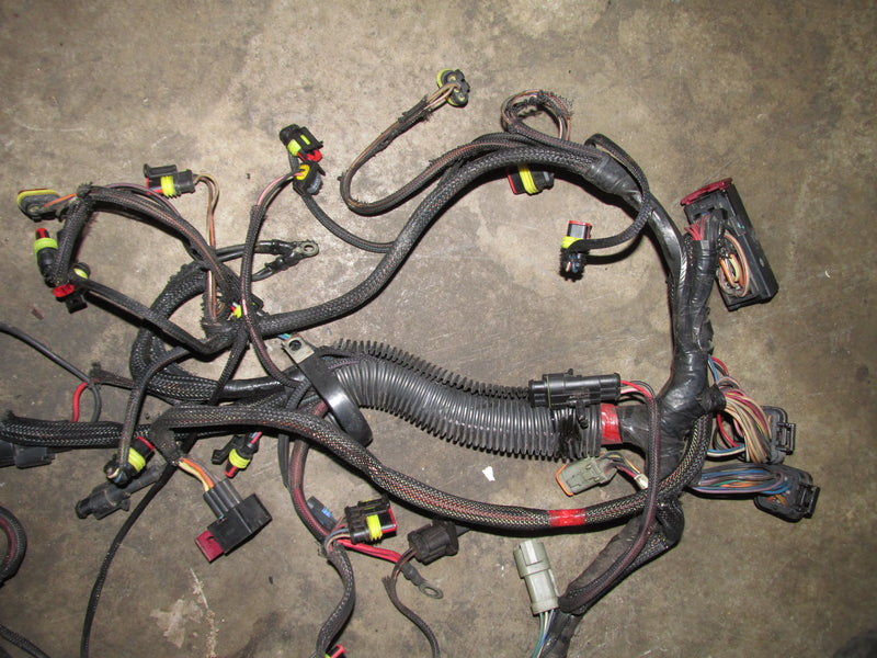 Evinrude Etec 115hp 2 Stroke Outboard Engine Wiring Harness (587004)