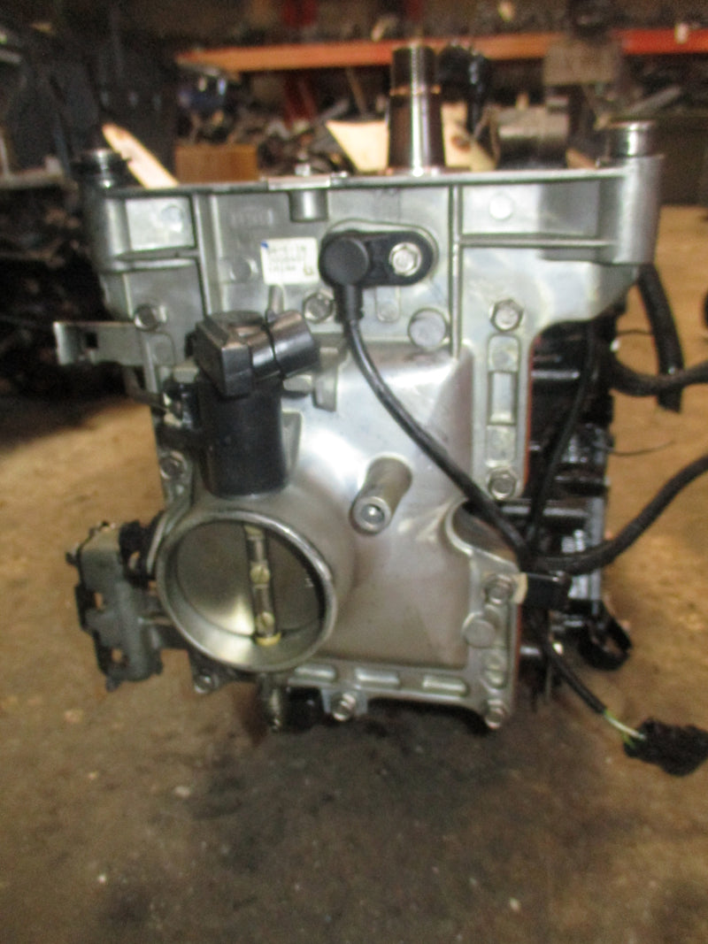 Evinrude ETEC 40hp outboard crankcase powerhead