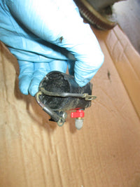 Load image into Gallery viewer, Evinrude 75hp outboard fuel primer (582111)
