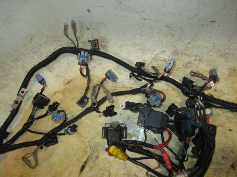 Mercury 250hp ProXS 2 Stroke outboard Engine Wiring Harness (8M0052839)
