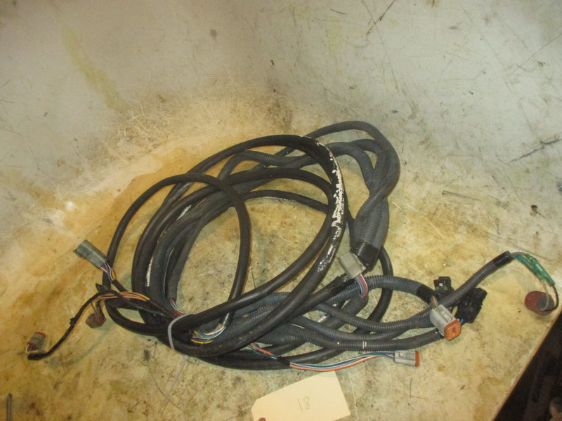Johnson/Evinrude outboard 20FT BRP harness (2)