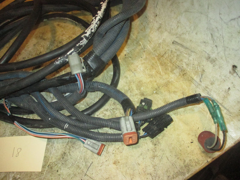 Johnson/Evinrude outboard 20FT BRP harness (2)