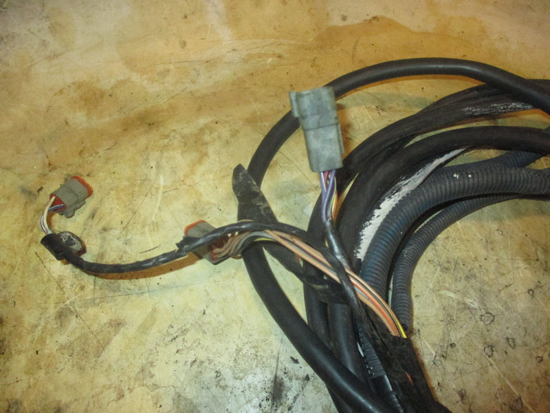 Johnson/Evinrude outboard 20FT BRP harness (2)