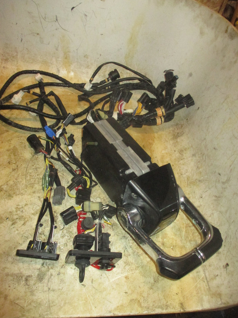 Johnson/Evinrude outboard 20FT BRP harness (2)