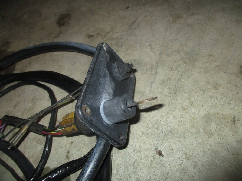 Johnson/ Evinrude Outboard 10ft BRP rigging harness w. ign switch