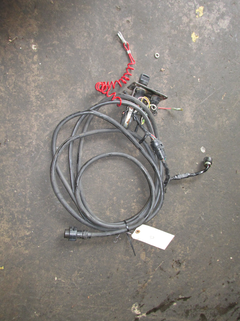 Yamaha Outboard 15FT 10 Pin rigging harness/ignition switch