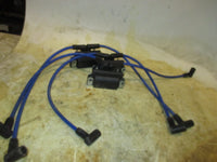 Load image into Gallery viewer, Evinrude 150hp 60 degree 2 stroke outboard dual ignition coil set (583740)
