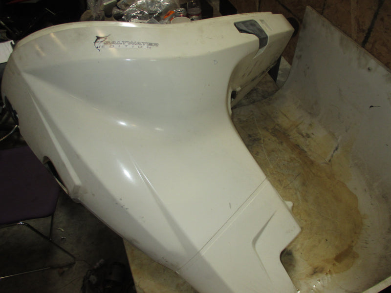 Evinrude ETEC 250hp outboard side cover set
