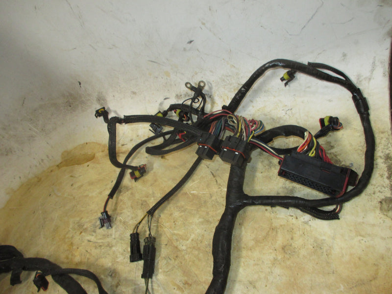 Evinrude ETEC 250hp outboard engine wiring harness (586769-Q)