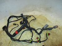 Load image into Gallery viewer, Evinrude Etec 25hp 2 stroke outboard engine wiring harness (587061)
