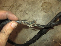 Load image into Gallery viewer, Johnson 90hp 60 degree outboard BRP motor to red plug adapter harness
