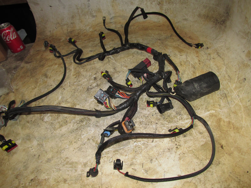 Evinrude Etec 75hp 2 Stroke Outboard Engine Wiring Harness (586764)