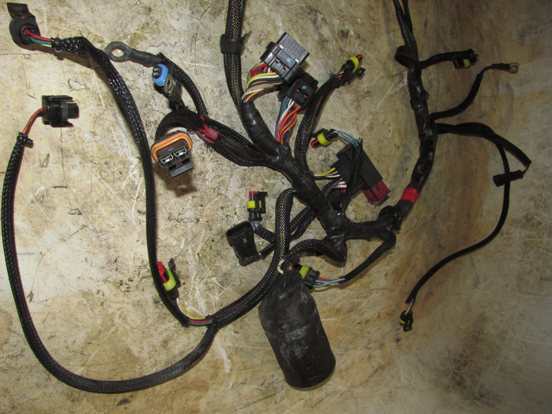 Evinrude Etec 75hp 2 Stroke Outboard Engine Wiring Harness (586764)